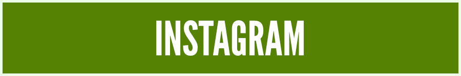 TheFourAvocados Instagram