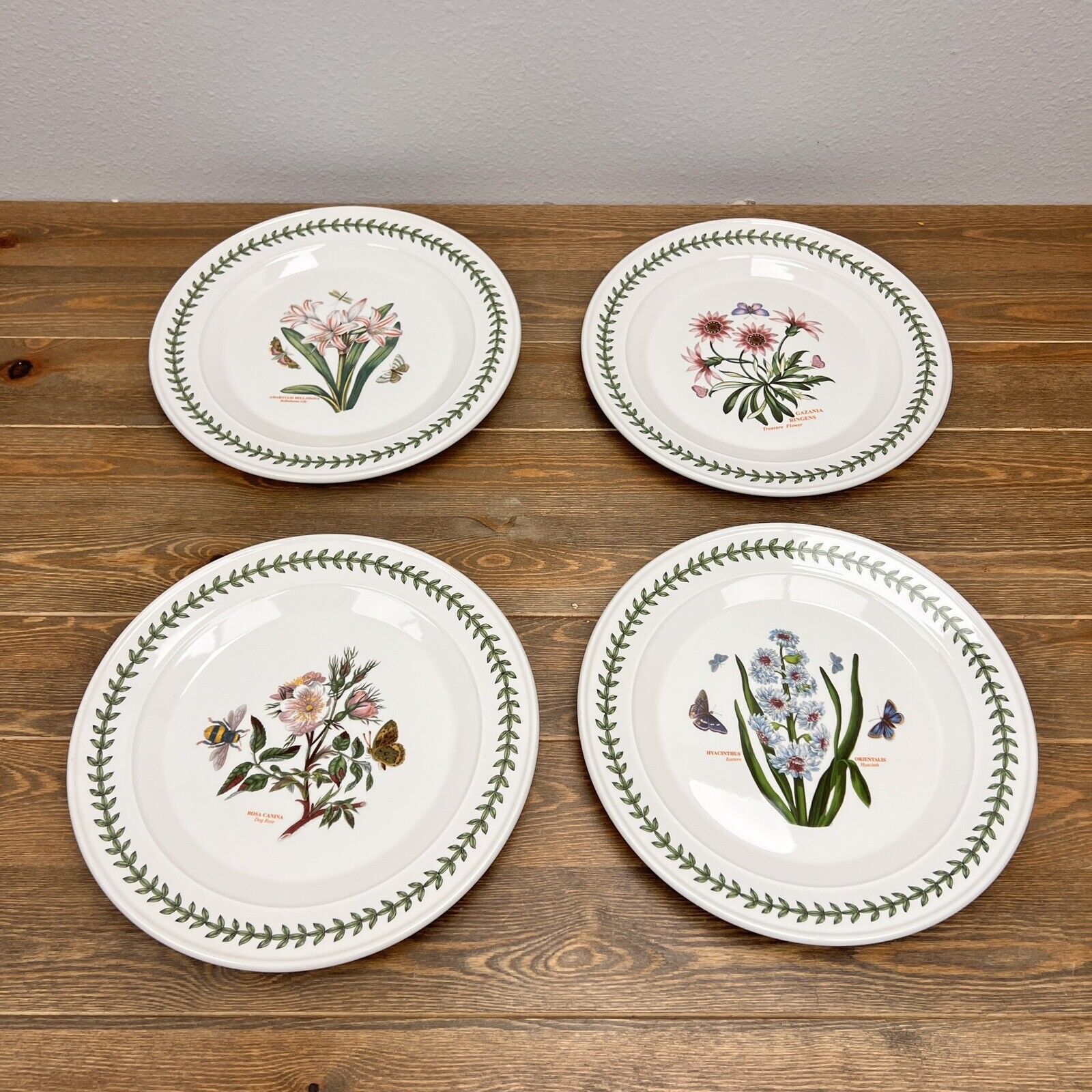 Portmeirion botanic garden set of 4 assorted dinner  plates 12”