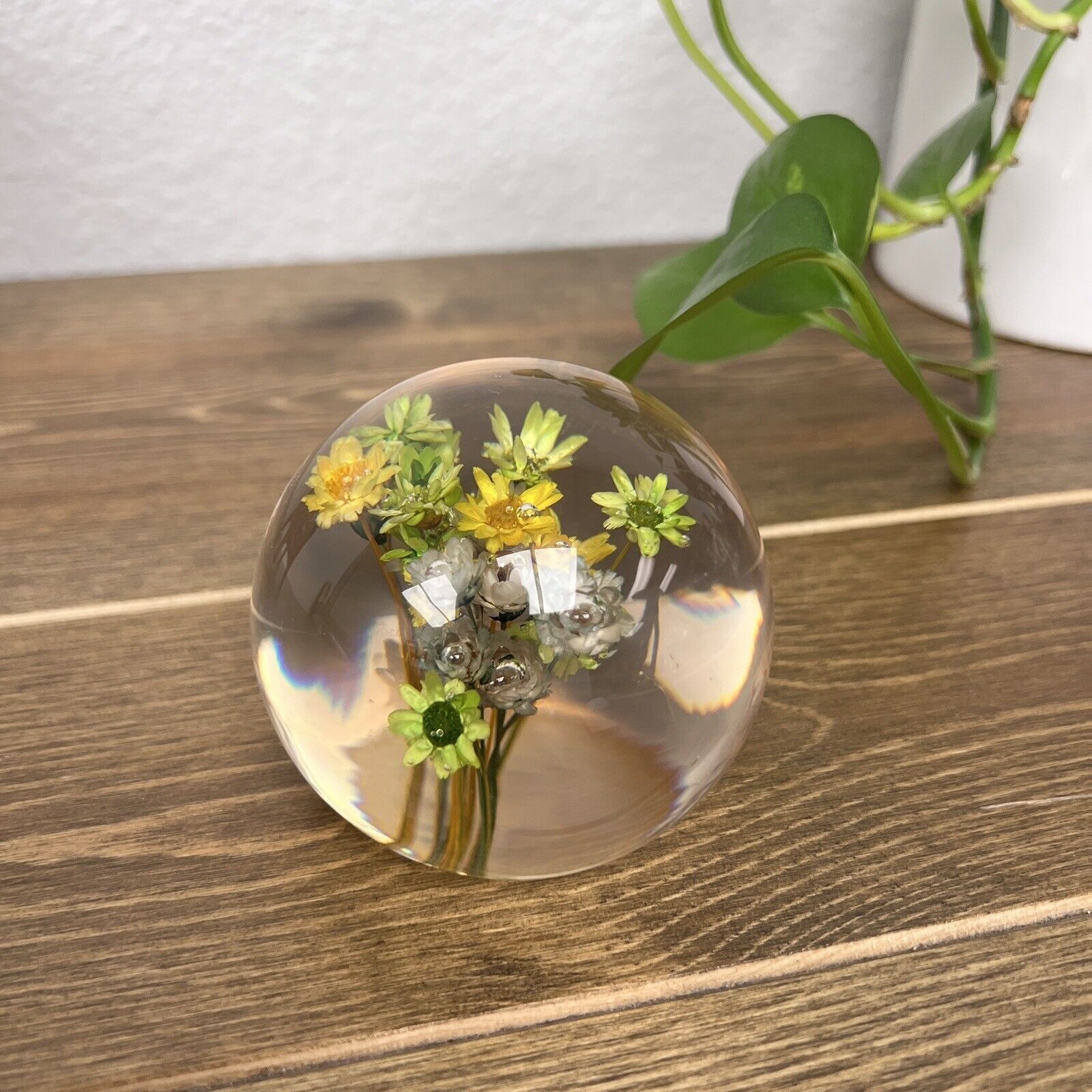 Clear Resin PAPERWEIGHT Sphere Encapsulated Preserved REAL FLOWERS Baby's Breath