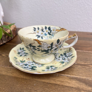 Vintage, Teacup & Saucer Asian, Apple Blossoms, EW-1598, Hand Painted Vintage