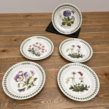 5 Salad Portmeirion Botanic Garden Dinnerware Plate Set By Susan Williams-7”