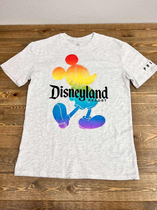 Disneyland Resort Mickey Mouse Grey Pride Rainbow Ringer T-Shirt Sz Small