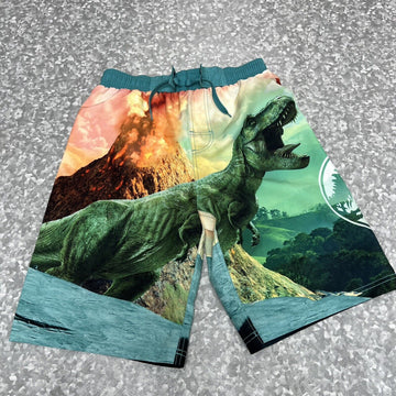 Jurassic World Swimsuit Swim Trunks Board Shorts Boys Dinosaurs T Rex Sz 14/16