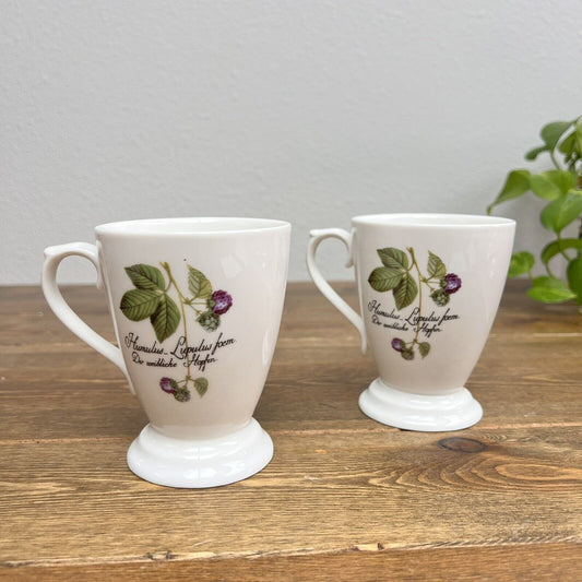 Humulus lupulus botanical coffee mug set of 2 New