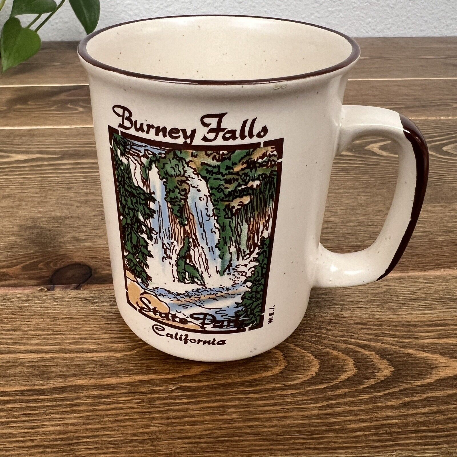 Vintage Burney Fallo State Park Coffee Mug Souvenier