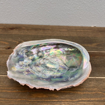 Vintage Large Red Abalone Shell Seashell 7" x 5.5" Mother Of Pearl Ocean Decor