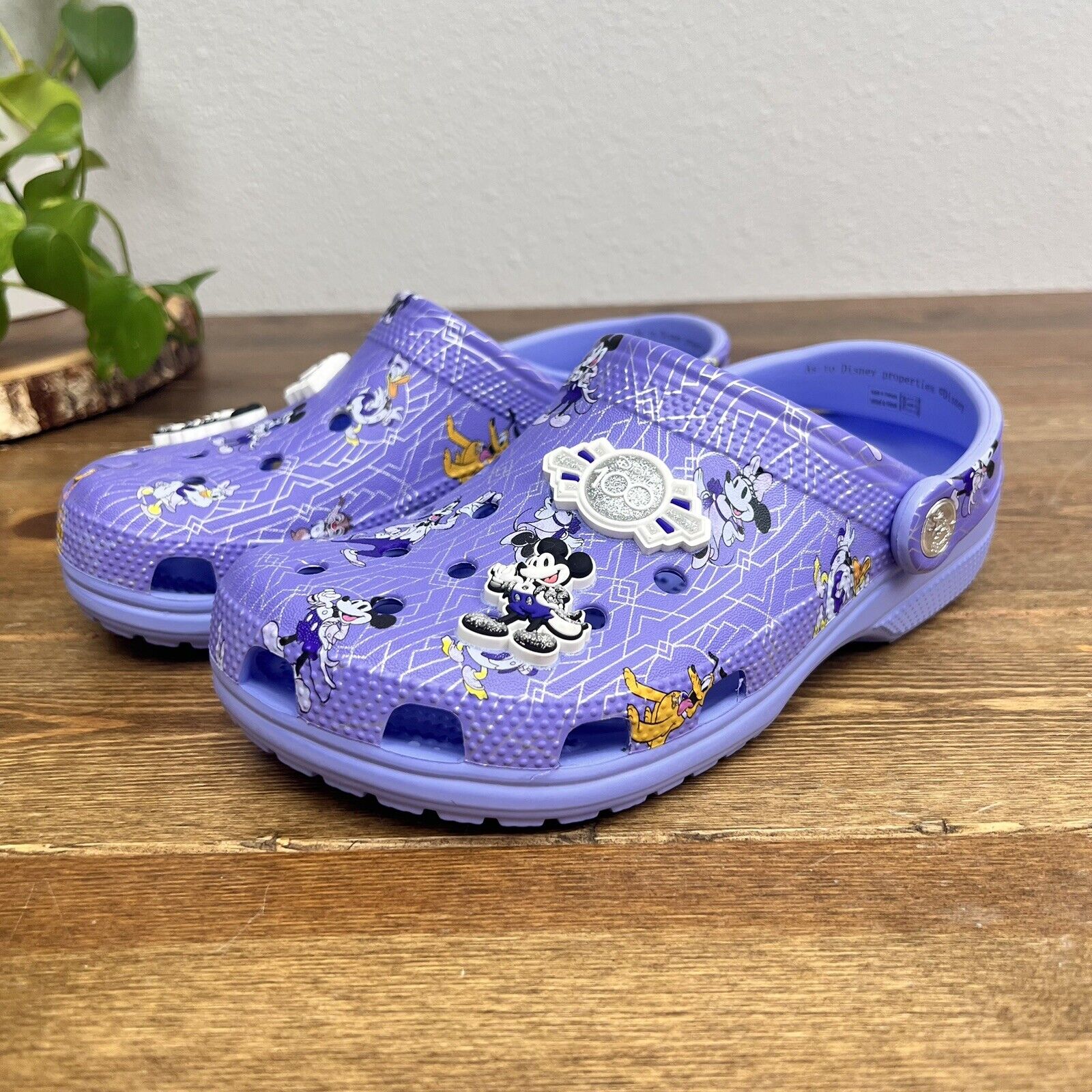 Disney Parks Mickey Mouse & Friends 100th Anniversary Crocs Clogs Purple