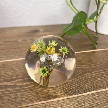 Clear Resin PAPERWEIGHT Sphere Encapsulated Preserved REAL FLOWERS Baby's Breath