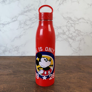 Disney Mickey Mouse Inner Steel Water Bottle Cool Kids