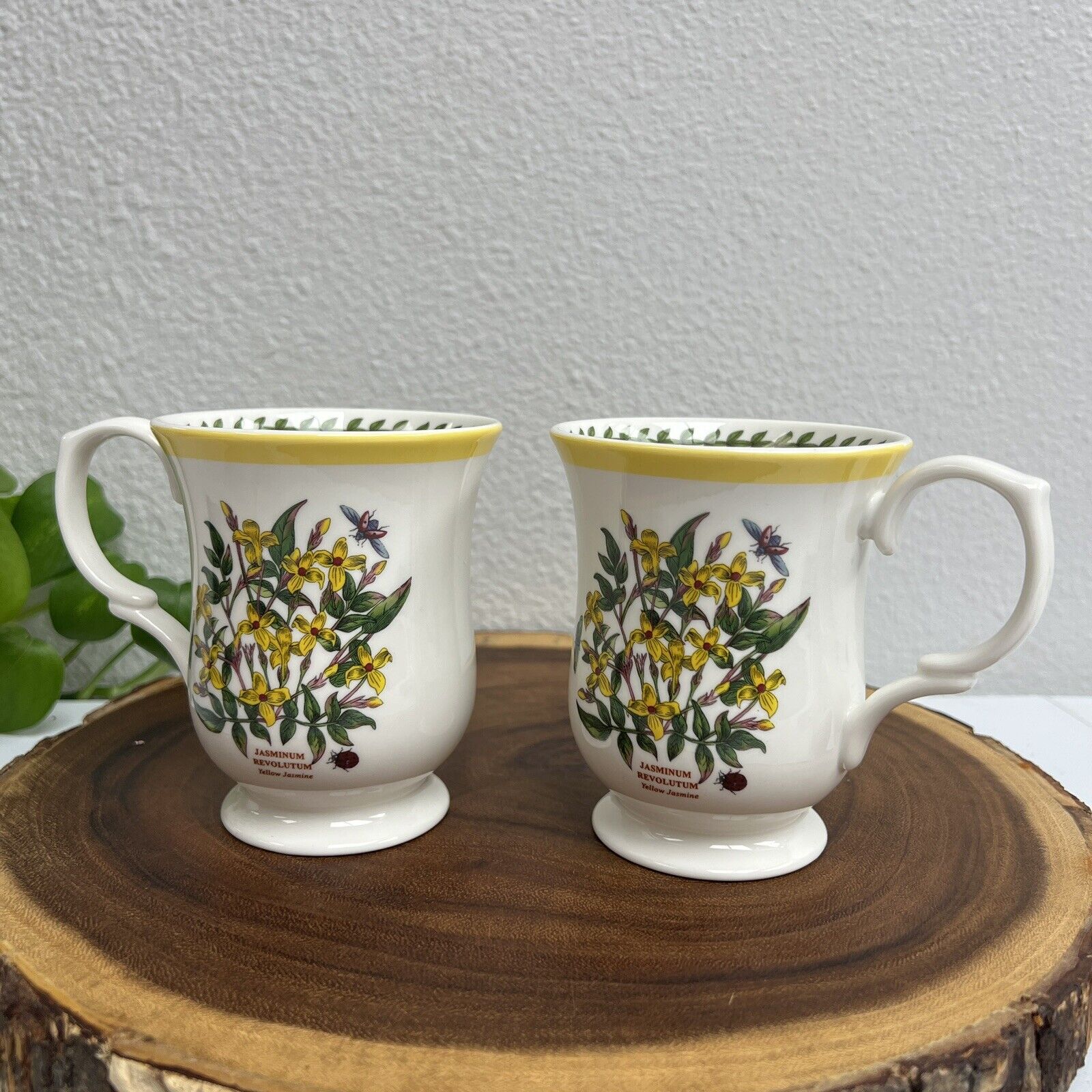 Portmeirion Botanic Garden Terrace Yellow Jasmine Mug Set Of 2