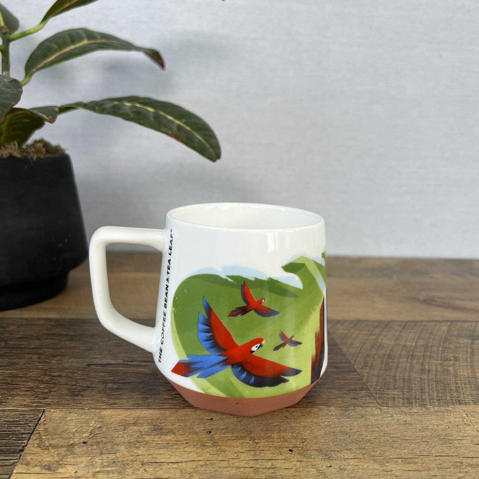 Coffee Bean & Tea Leaf Costa Rica Ceramic Mug Macaw Bird Roast 'Round the World