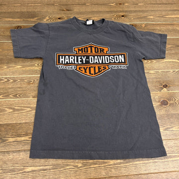 Harley Davidson Shirt Gray Motorcycles Oconomowoc Wisconsin Biker Tee Sz Small