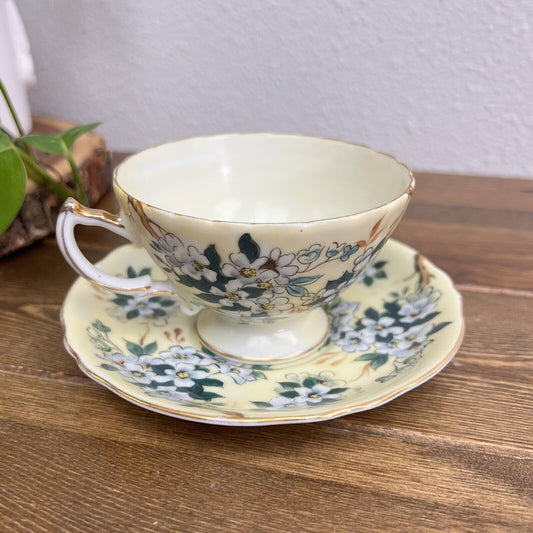 Vintage, Teacup & Saucer Asian, Apple Blossoms, EW-1598, Hand Painted Vintage