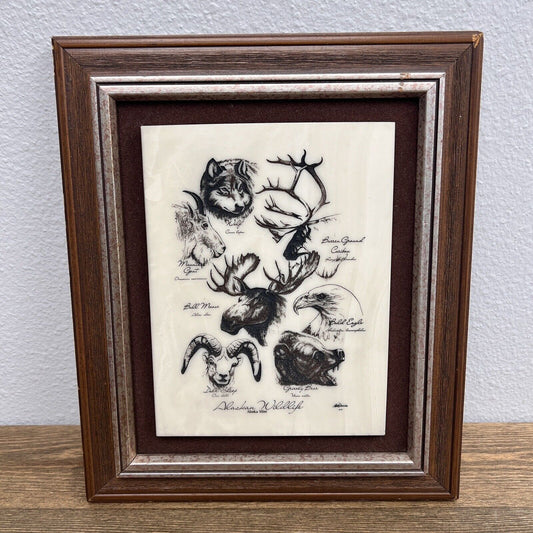 Bill Devine Kiana Alaska Mint Wildlife Framed Etched Marble Art